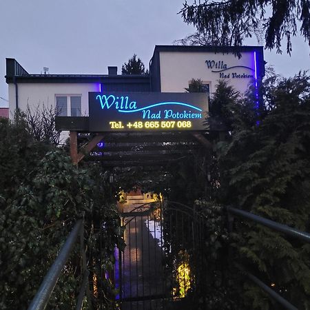 Willa Nad Potokiem Bad Kudowa Exterior foto