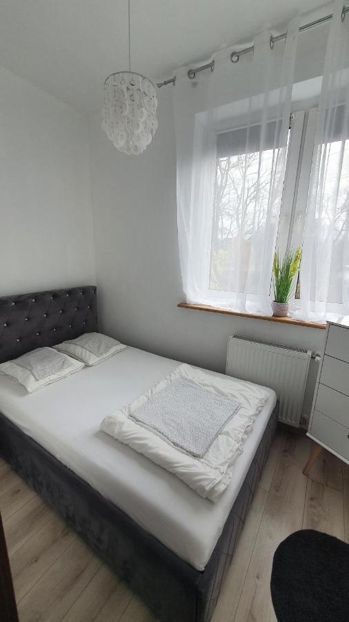 Willa Nad Potokiem Bad Kudowa Exterior foto