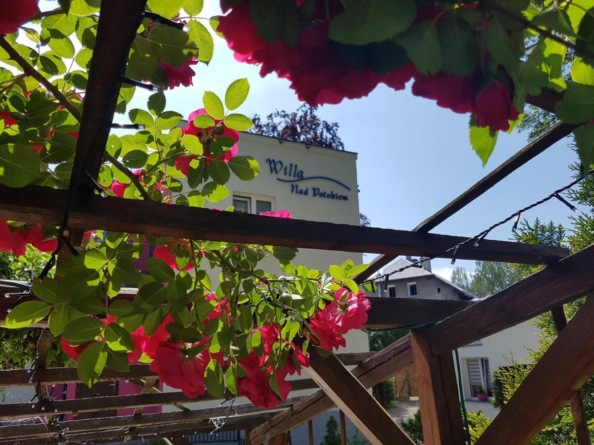 Willa Nad Potokiem Bad Kudowa Exterior foto